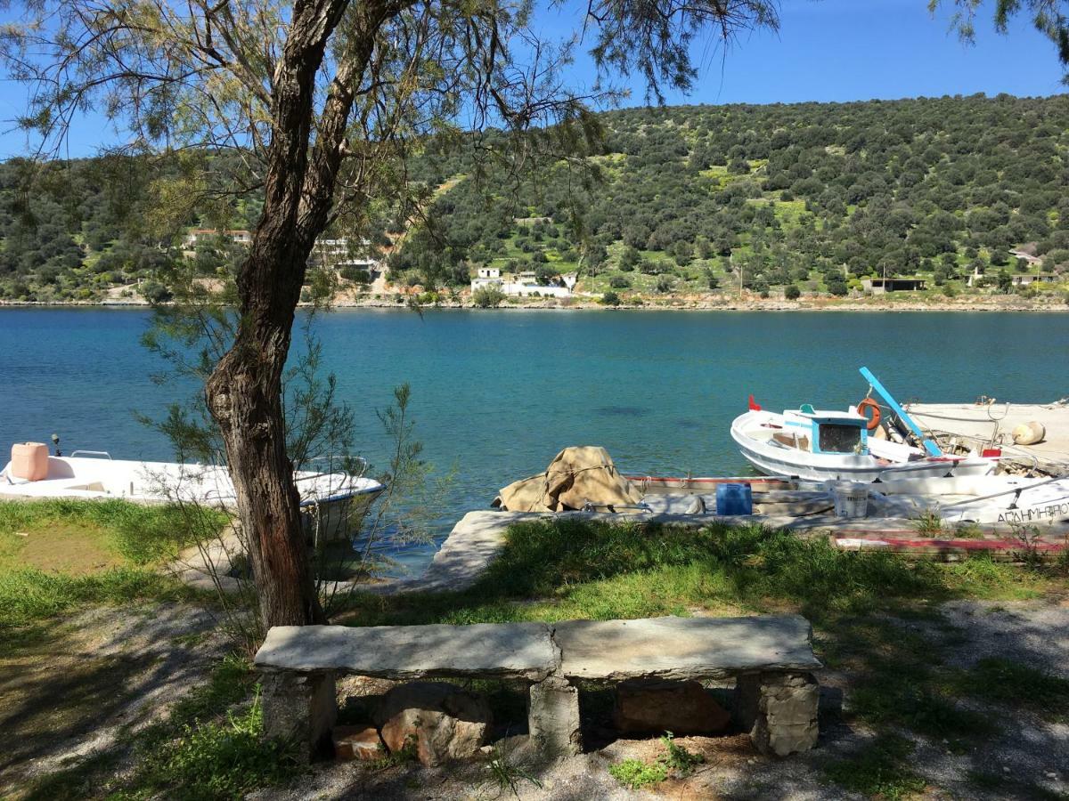 Sea Front Studio - Porto Boufalo - Evia Zewnętrze zdjęcie
