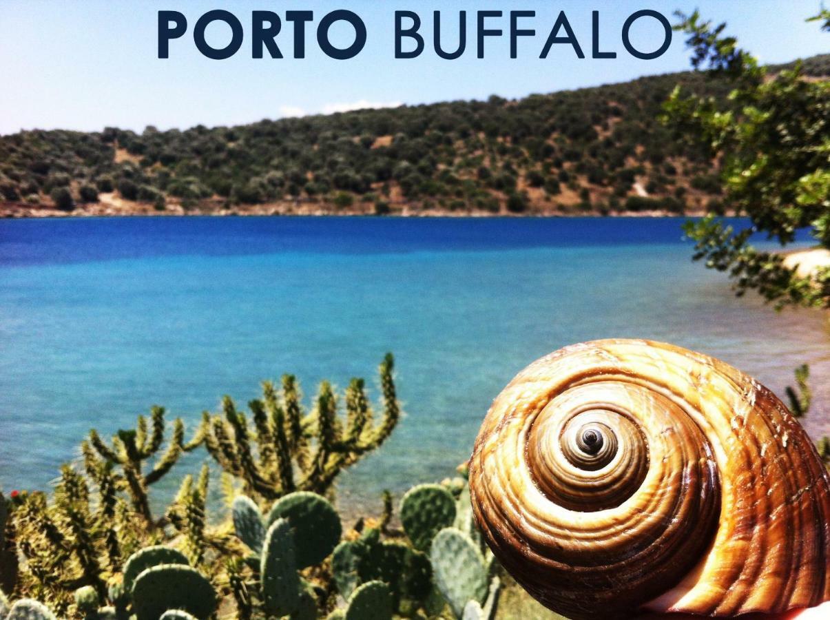 Sea Front Studio - Porto Boufalo - Evia Zewnętrze zdjęcie
